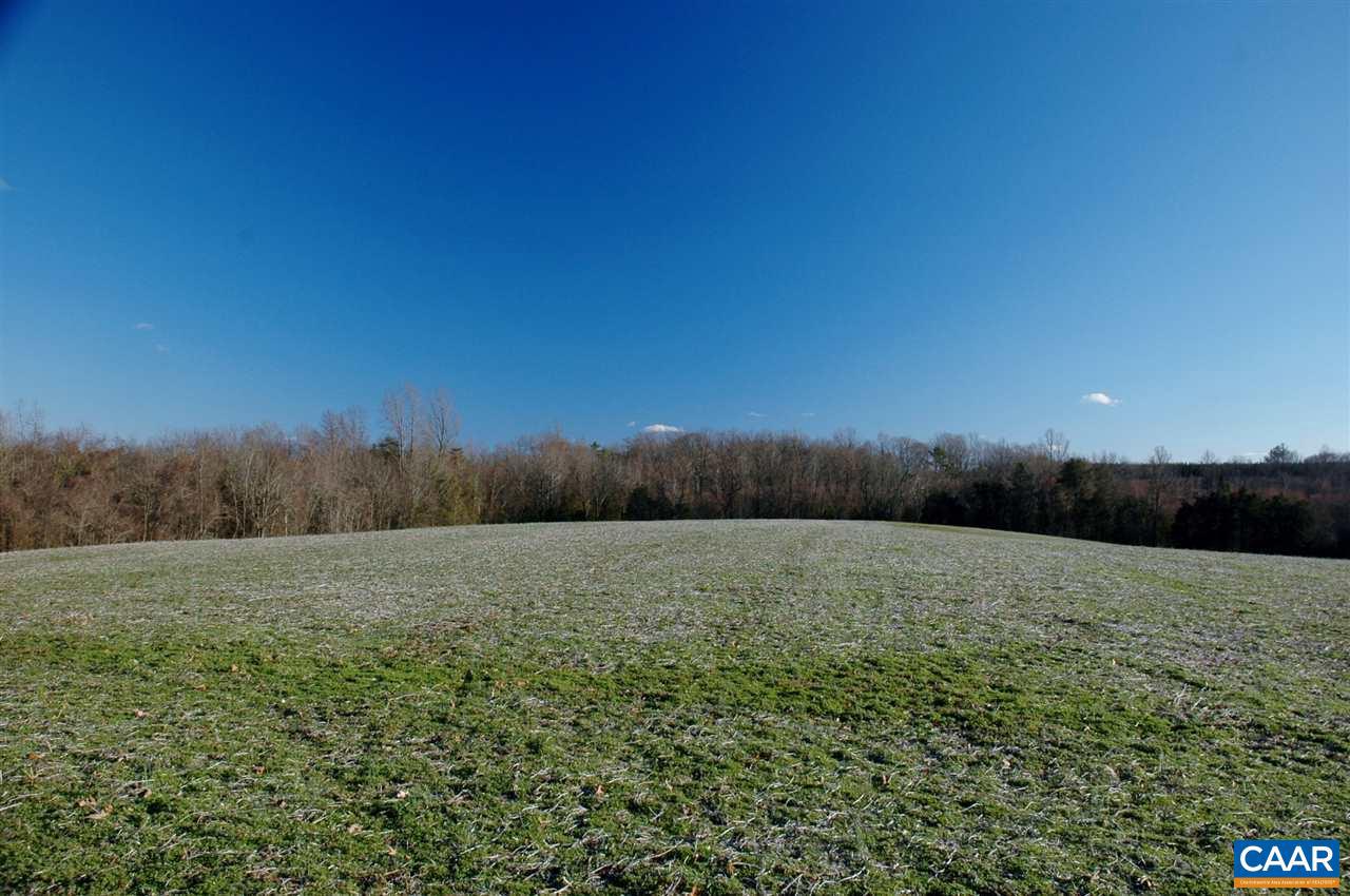 3015 Kents Mill Road Louisa, VA 23093 - Photo 8 of 31 Gallery Image 8