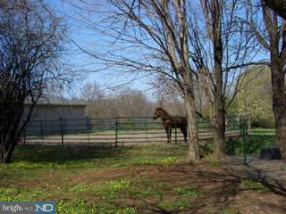 675 Eagle Road Newtown, PA 18940 - Photo 3 of 5
