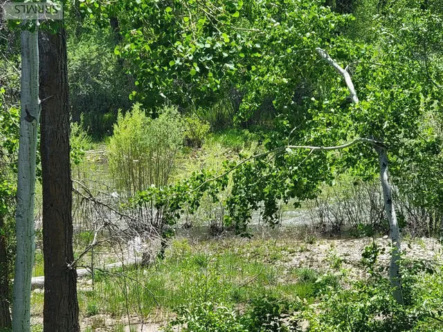 $850,000 | 125 Cobble Creek Lane, Unit 75, Driggs, ID 83422