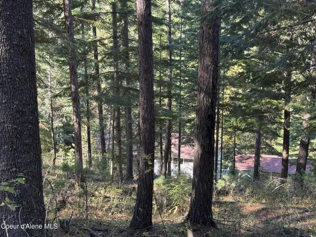 $414,000 | 94 Lochsa Lane, Pinehurst, ID 83850