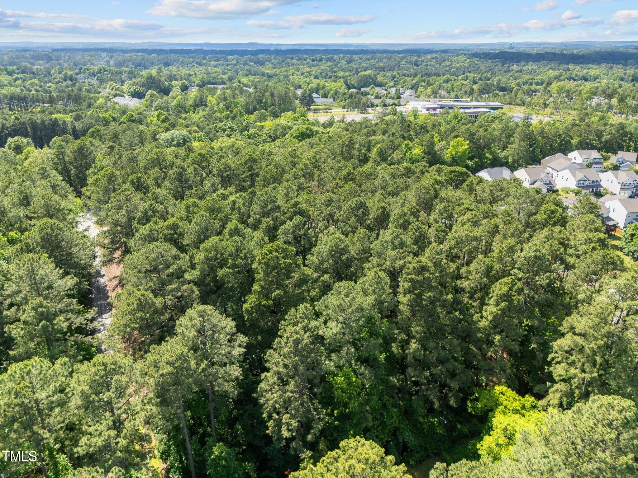 1533 Brown Street Durham, NC 27713 - Photo 11 of 12 a view of a green field with lots of bushes