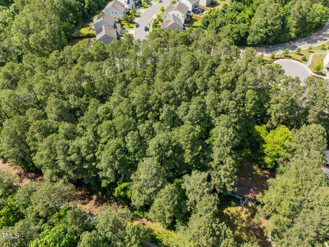a view of a garden with plants