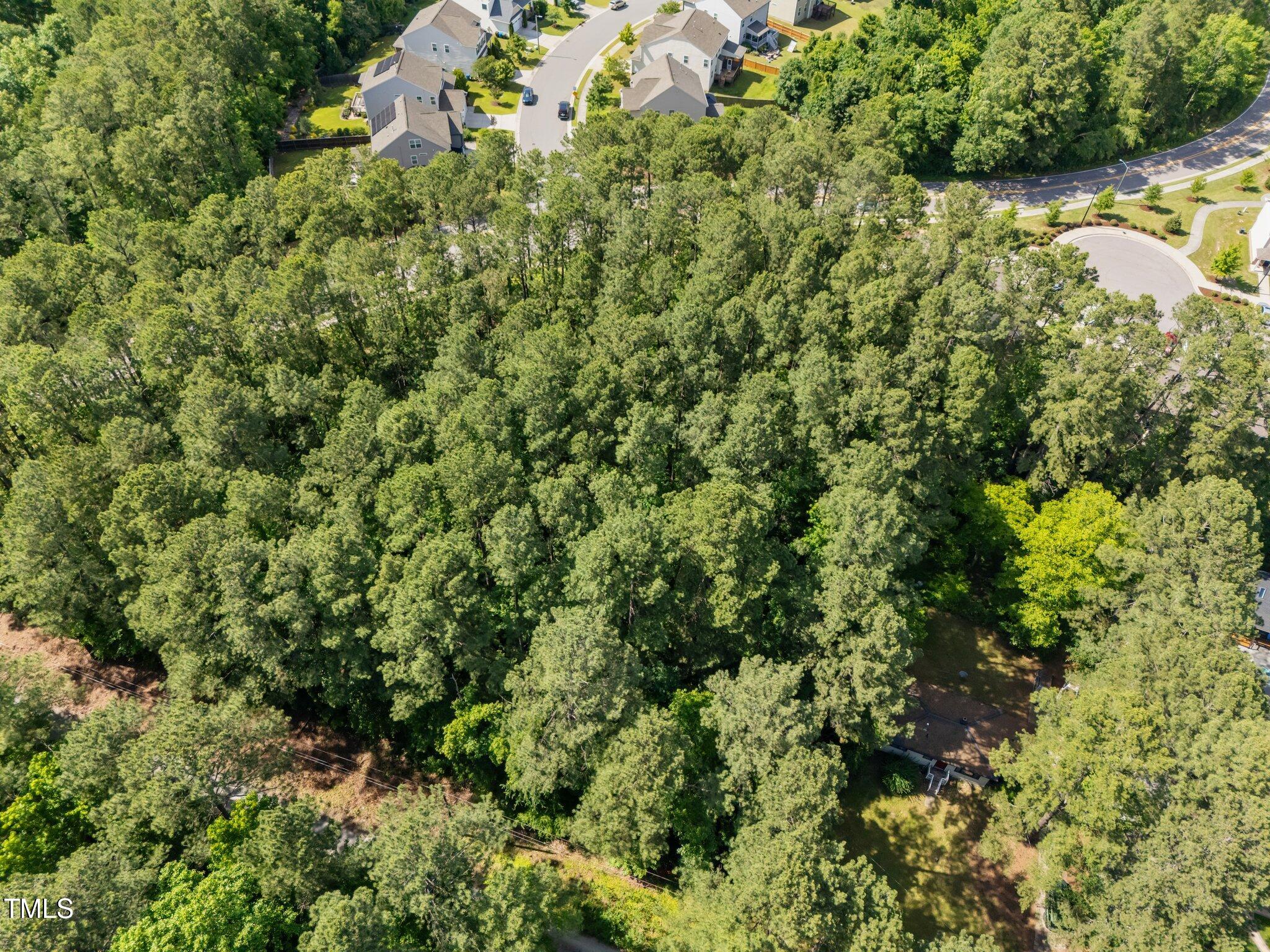 1533 Brown Street Durham, NC 27713 - Photo 2 of 12 a view of a garden with plants