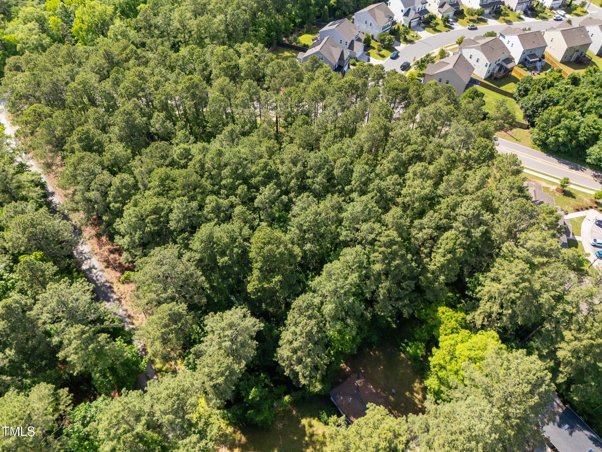 1533 Brown Street Durham, NC 27713 - Photo 3 of 12 a view of a garden with a plant