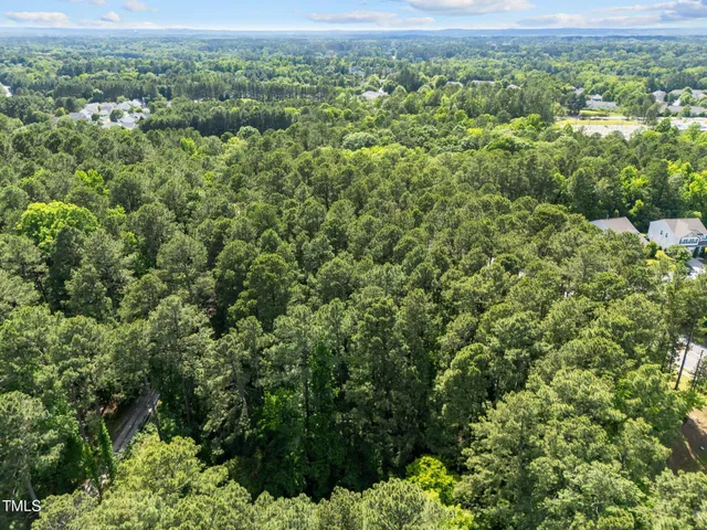 an aerial view of residential houses with outdoor space and trees
