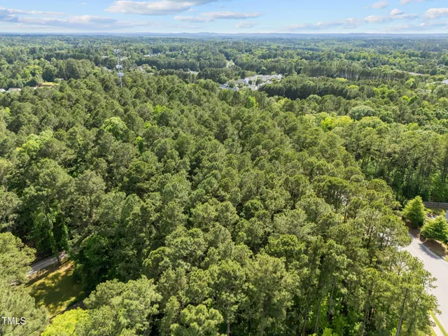a view of a green field with lots of bushes
