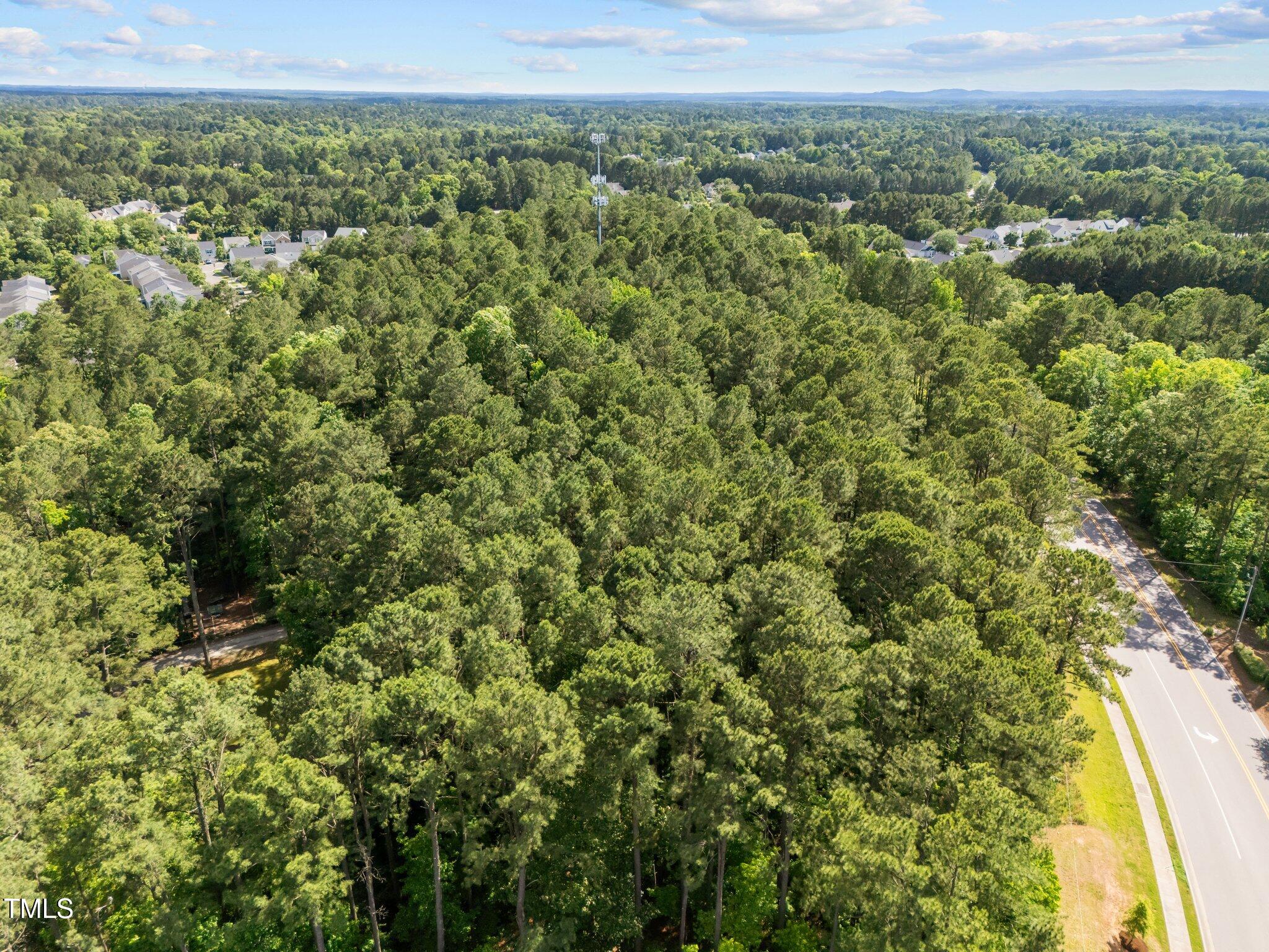1533 Brown Street Durham, NC 27713 - Photo 7 of 12 a view of a green field with lots of bushes