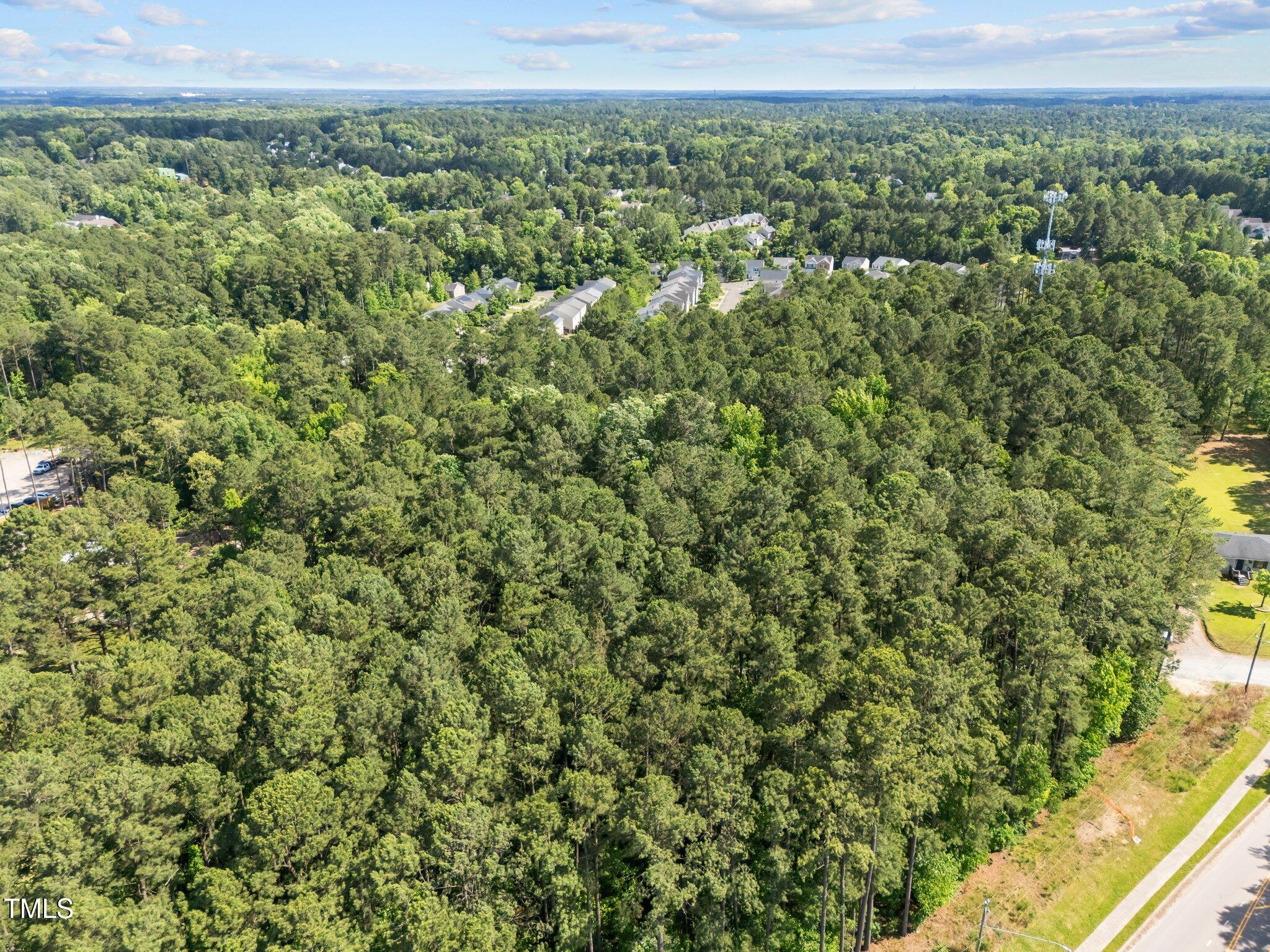 1533 Brown Street Durham, NC 27713 - Photo 9 of 12 a view of a green field with lots of bushes