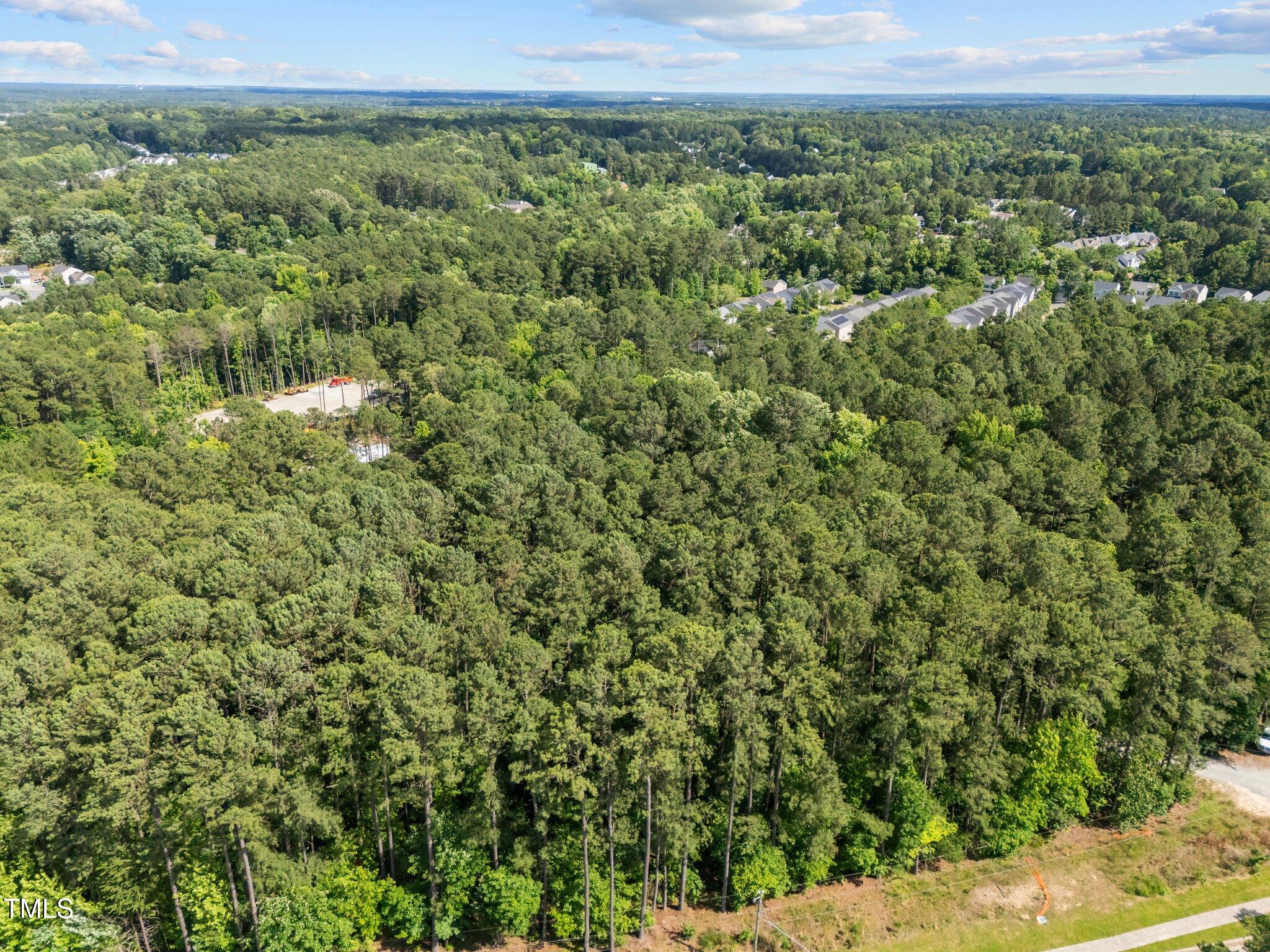 1533 Brown Street Durham, NC 27713 - Photo 10 of 12 a view of a green field with lots of bushes