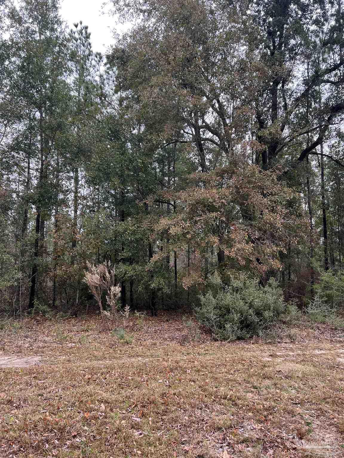 Lot 5 Pond Creek Road Milton, FL 32570 - Photo 4 of 4