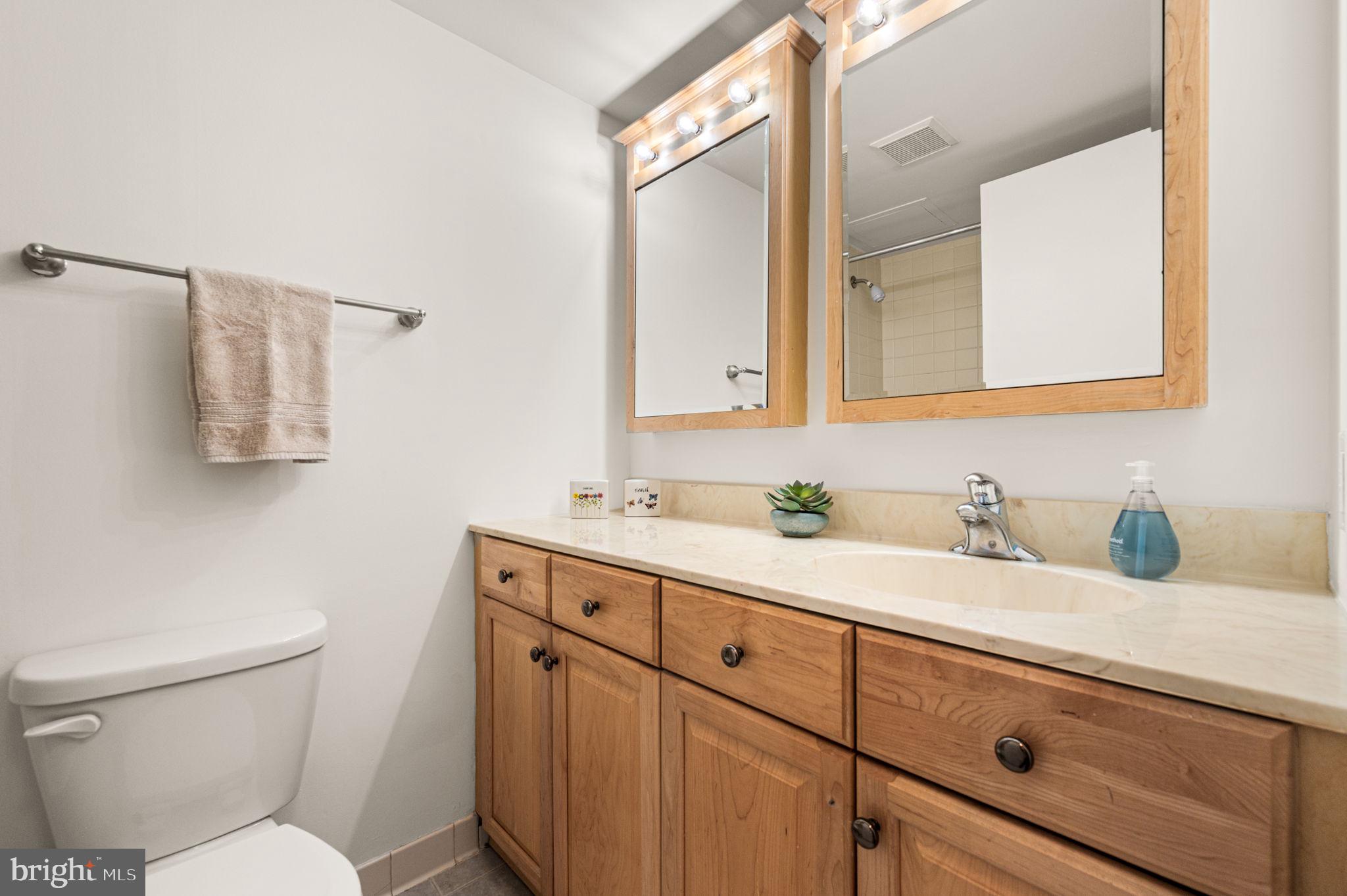 2018 Walnut Street, Unit 5B Philadelphia, PA 19103 - Photo 16 of 43 Ensuite Bath