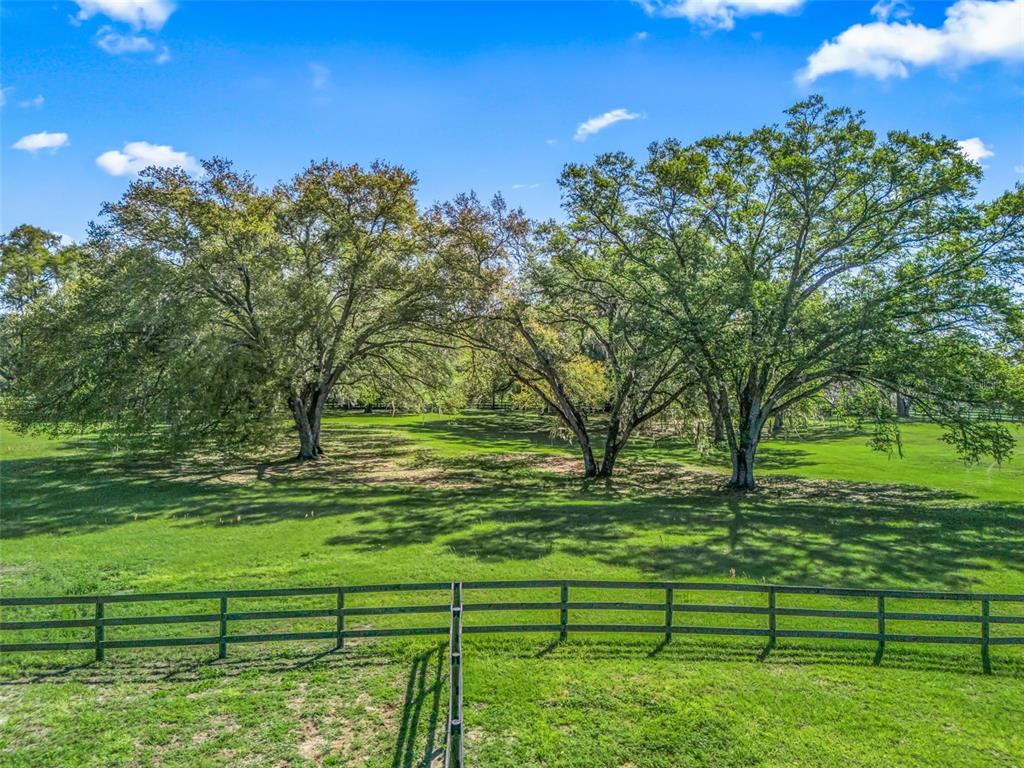 2 Carry Back Road Ocala, FL 34482 - Photo 1 of 1 a big yard with lots of green space houses and trees in the background