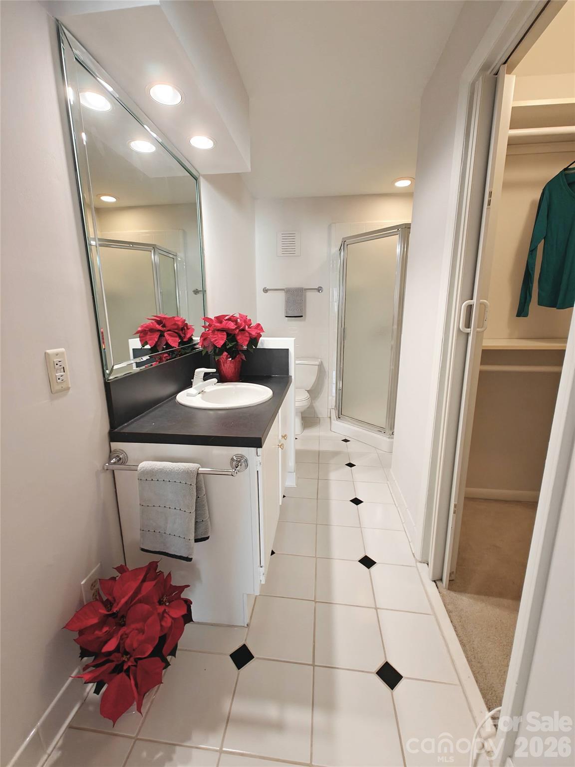 1323 Queens Road, Unit 321 Charlotte, NC 28207 - Photo 18 of 31 a bathroom with a sink mirror and toilet