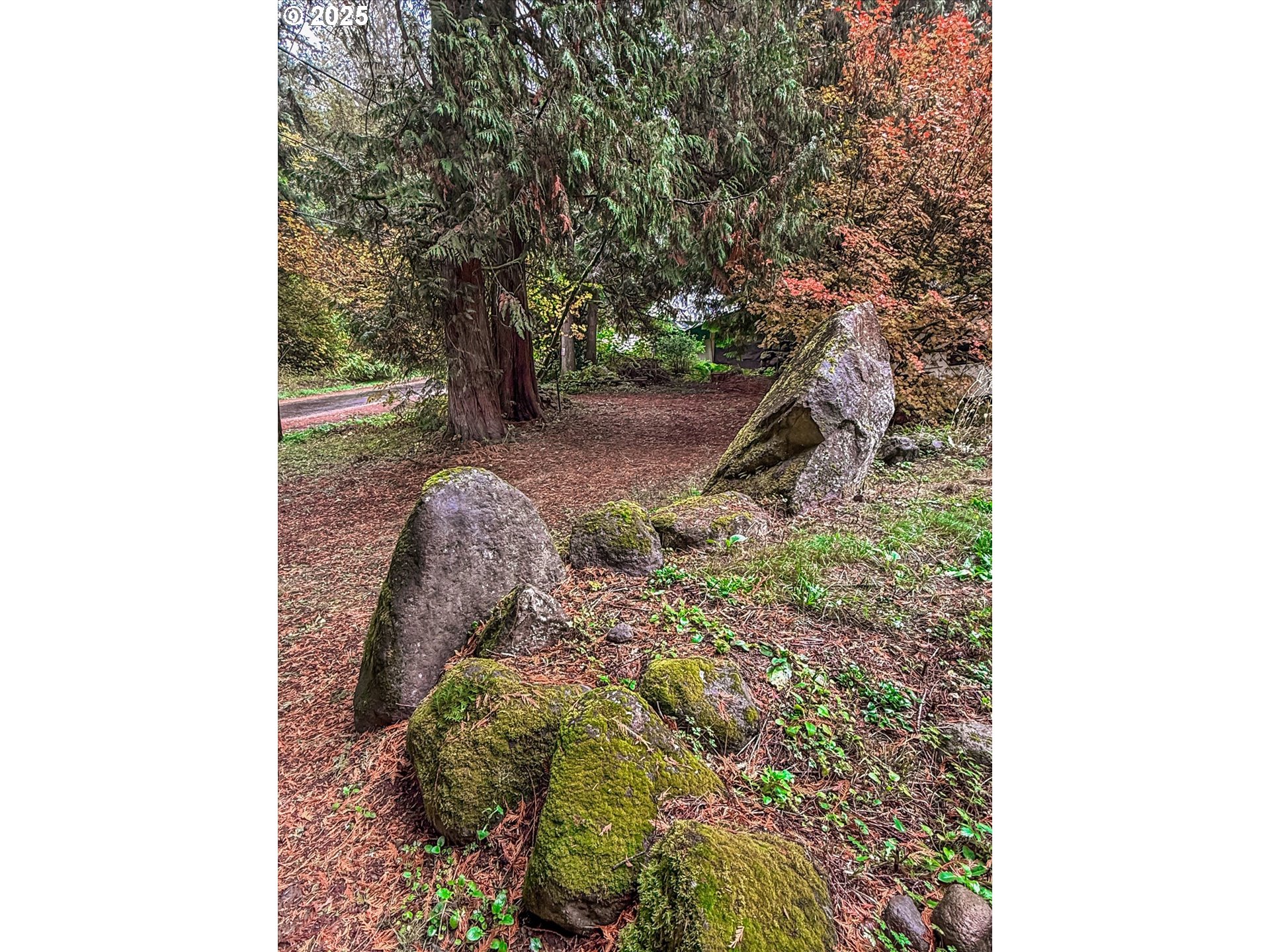 71210 East Faubion Loop Rhododendron, OR 97049 - Photo 25 of 28