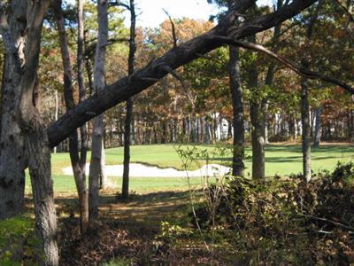 Undisclosed Address Brewster, MA 02631 - Photo 9 of 10 a view of a garden with a tree
