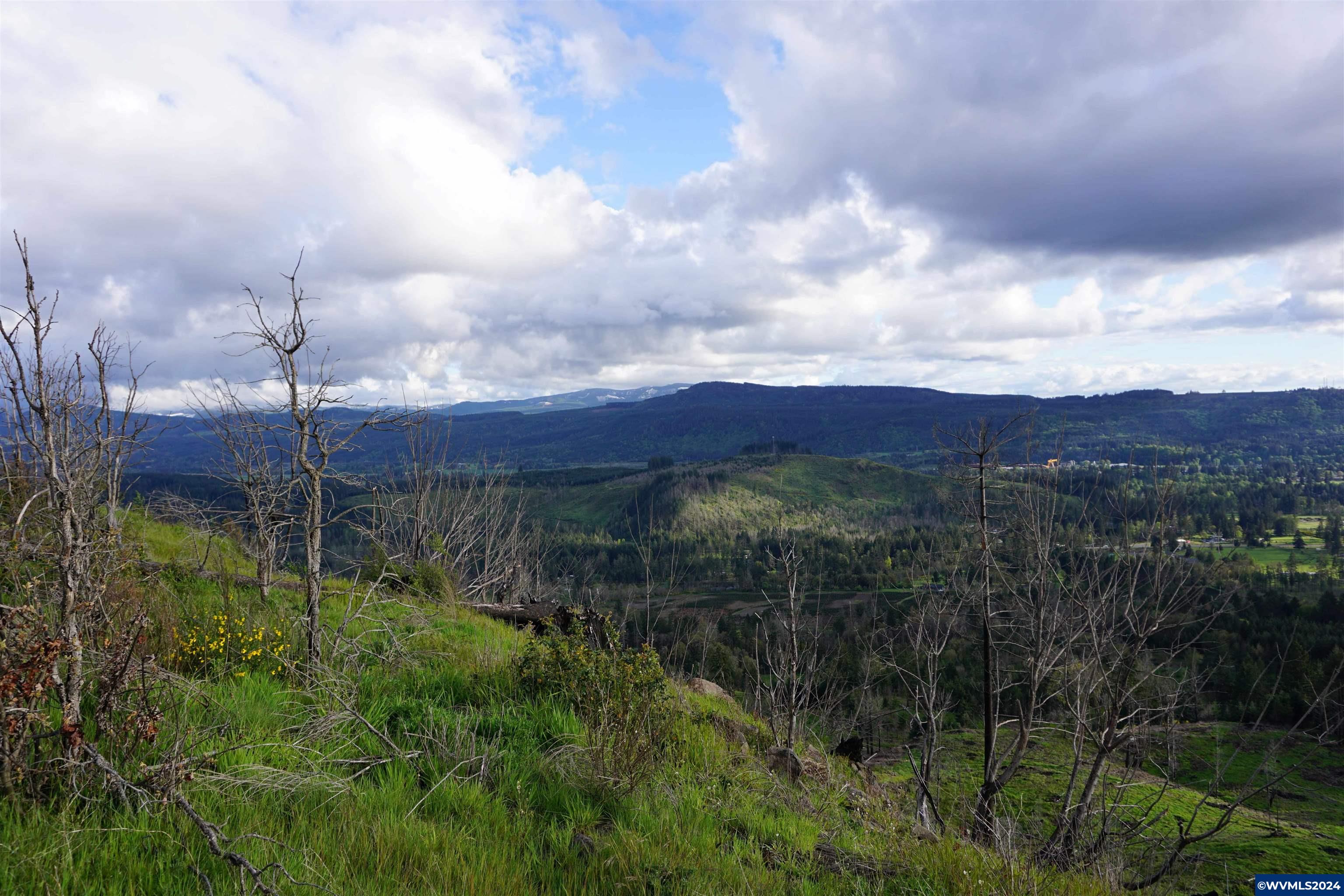 900 Wagner Road Lyons, OR 97358 - Photo 13 of 30