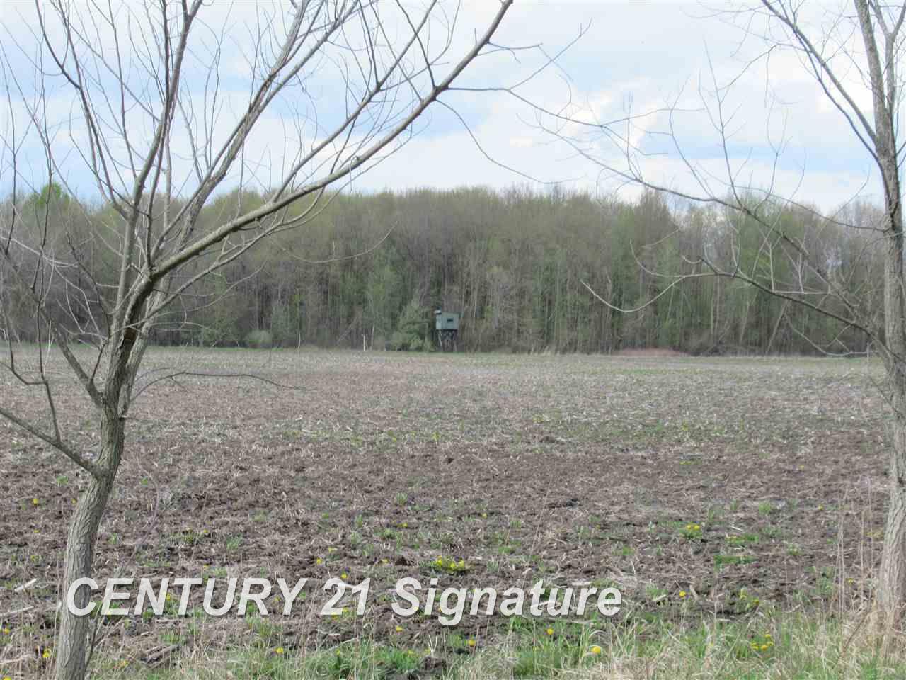 13800 Spencer Road Hemlock, MI 48626 - Photo 3 of 15