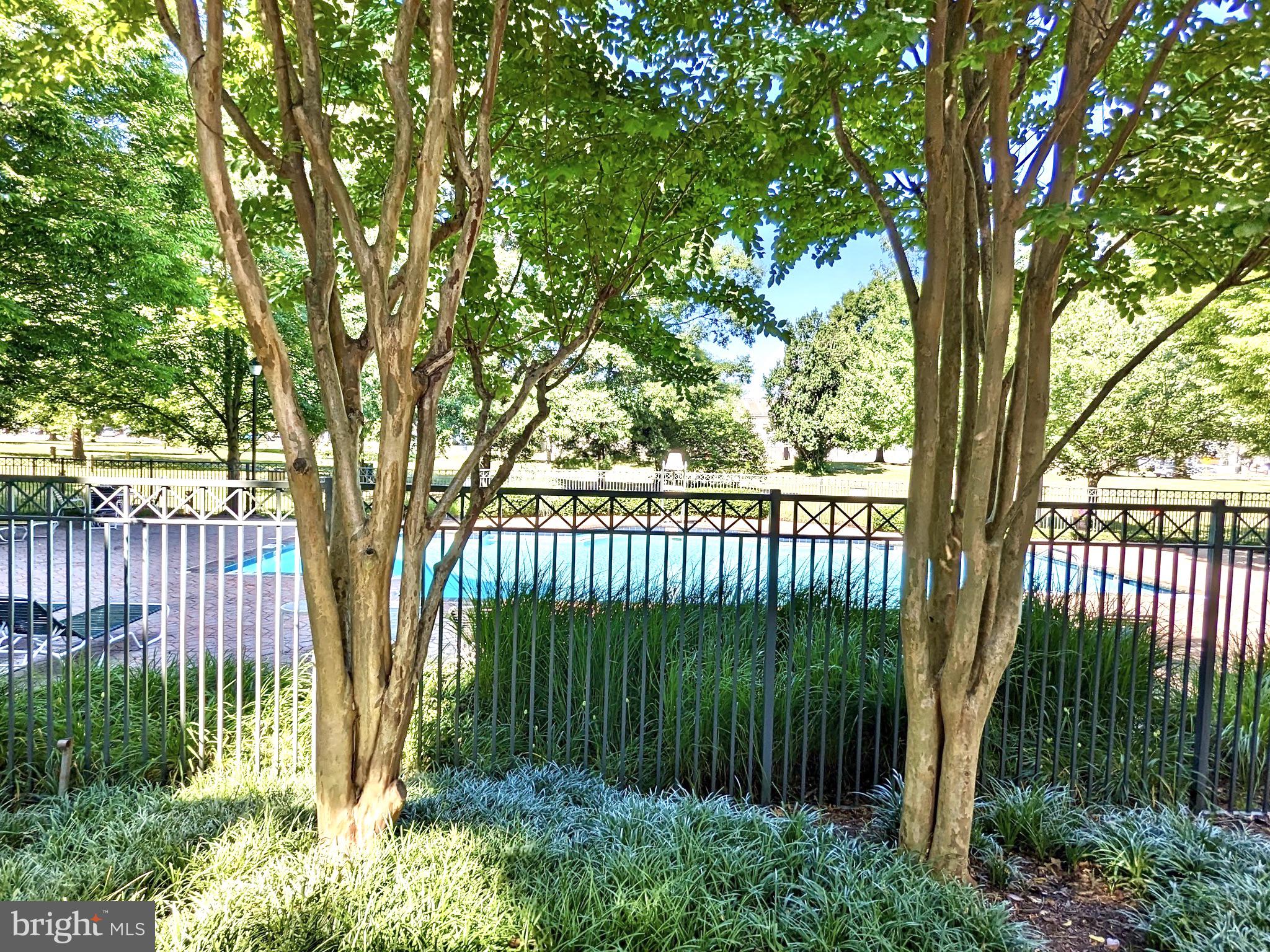 5563 Seminary Road, Unit 411 Falls Church, VA 22041 - Photo 57 of 67 Gallery Image 57