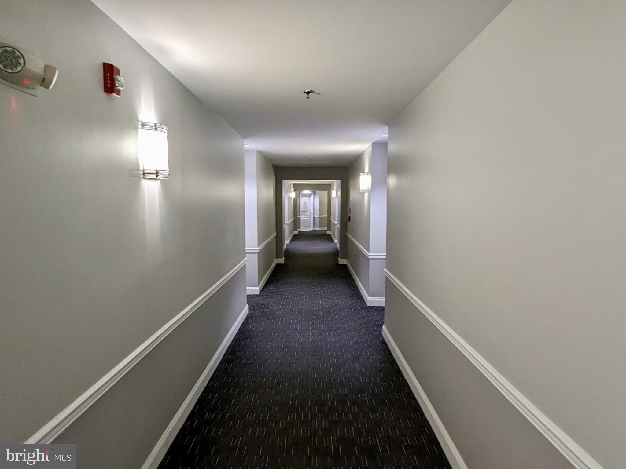 5563 Seminary Road, Unit 411 Falls Church, VA 22041 - Photo 8 of 67 Gallery Image 8