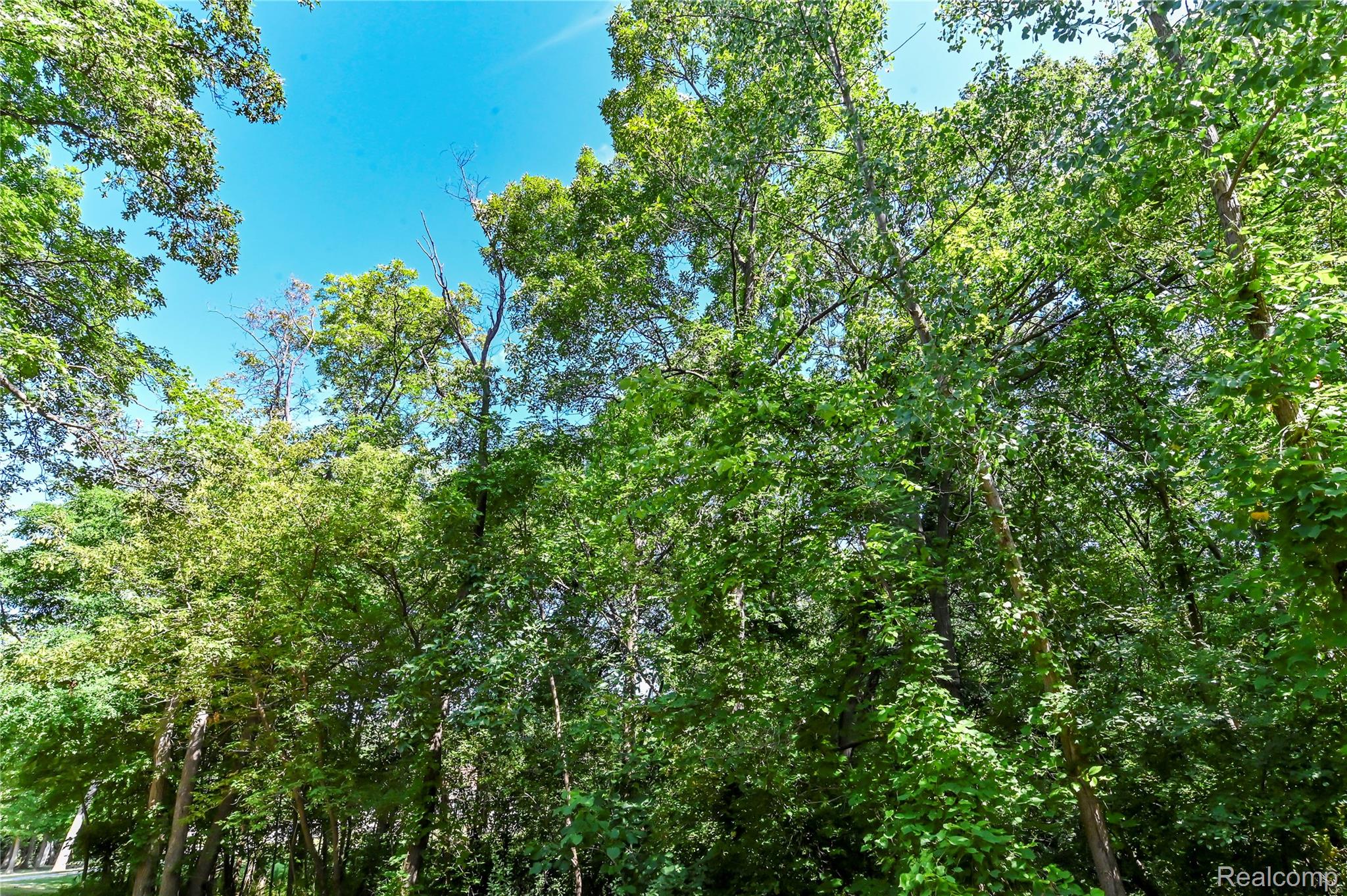 0 Holdridge Road Holly, MI 48442 - Photo 10 of 14 DSC_4787.jpg