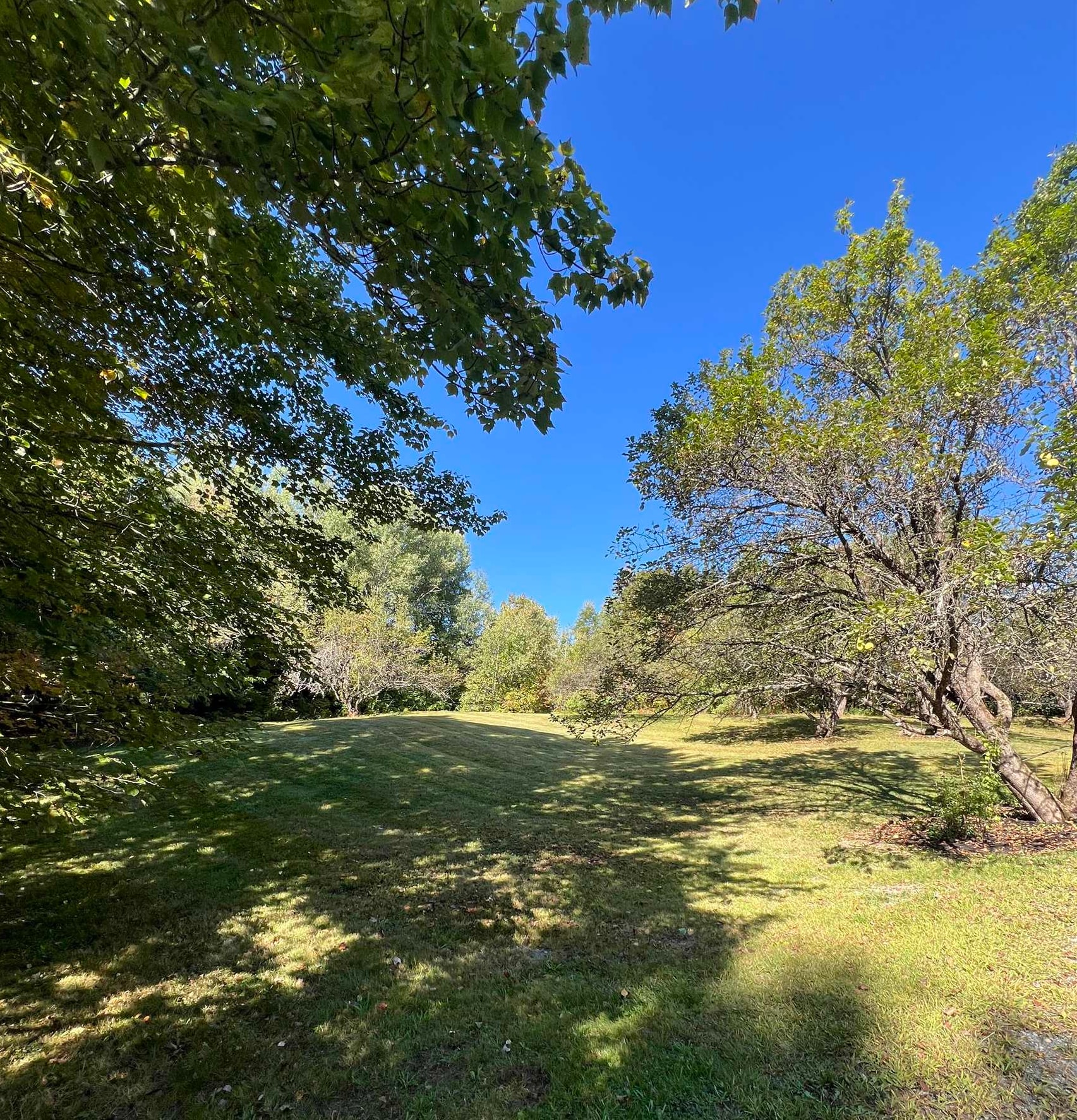 113 Appletree Lane Newport, VT 05855 - Photo 32 of 41