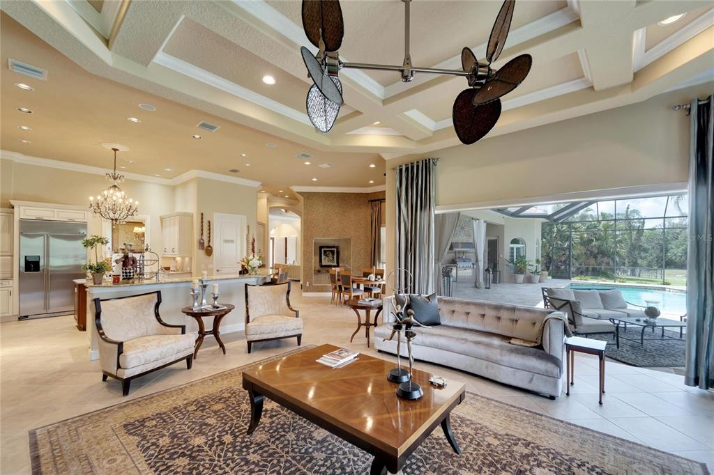 15101 Kestrelglen Way Lithia, FL 33547 - Photo 20 of 75 a living room with lots of furniture and a chandelier