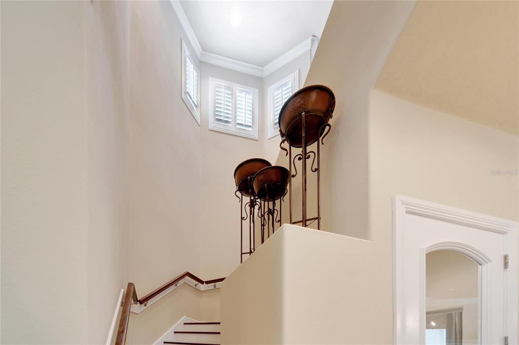 15101 Kestrelglen Way Lithia, FL 33547 - Photo 46 of 75 a view of entryway with a front door