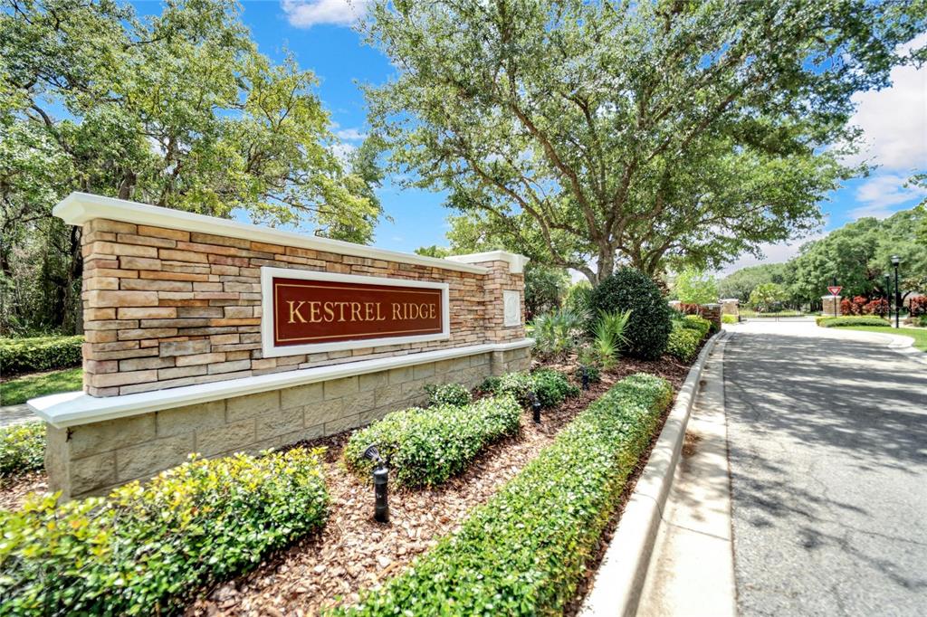 15101 Kestrelglen Way Lithia, FL 33547 - Photo 65 of 75