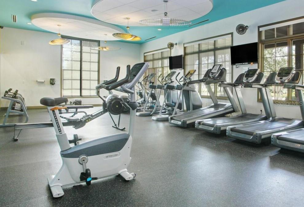 15101 Kestrelglen Way Lithia, FL 33547 - Photo 72 of 75 a room with gym equipment and a large window