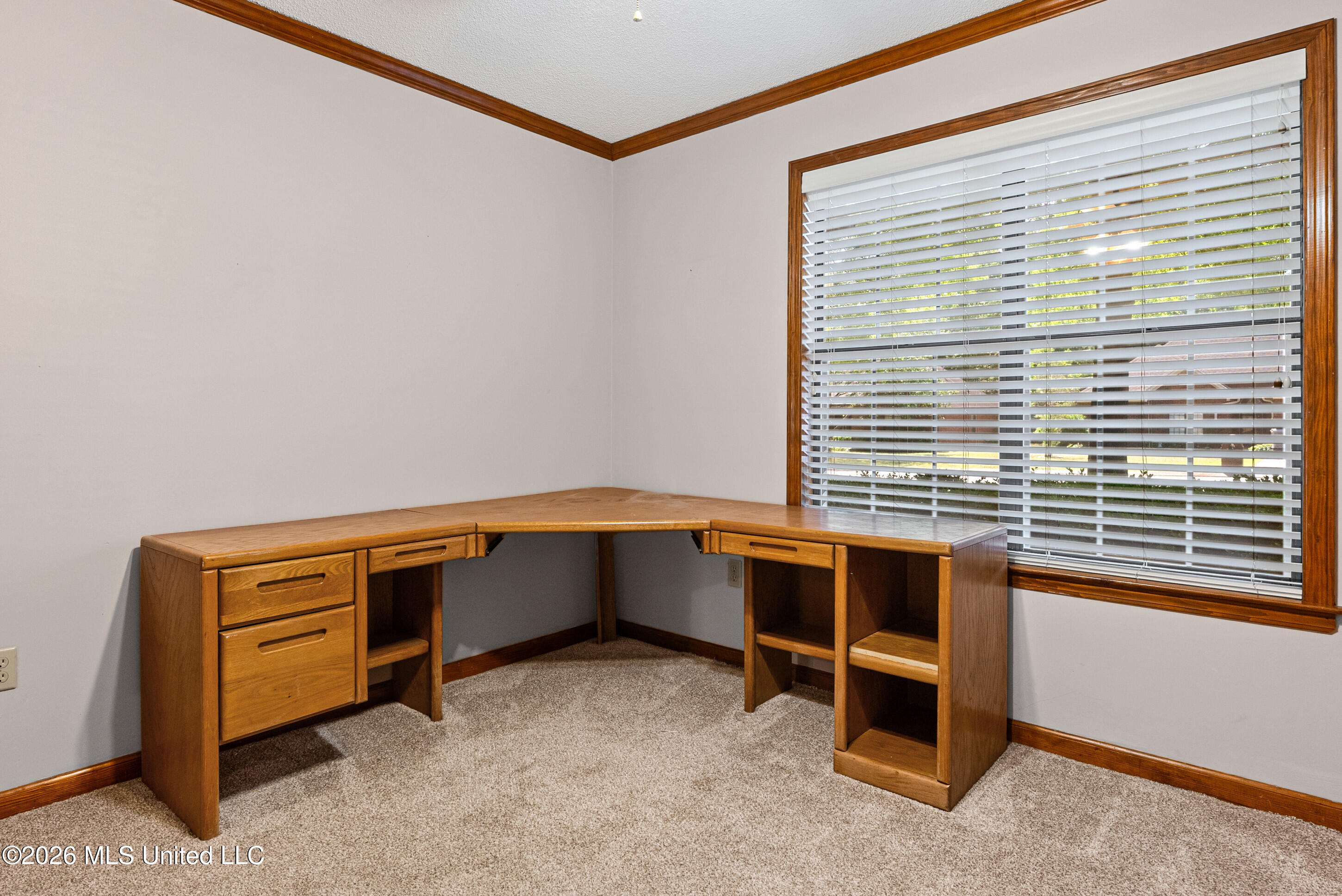 5944 Southbend Lane Olive Branch, MS 38654 - Photo 20 of 40 37_dsc03732_print