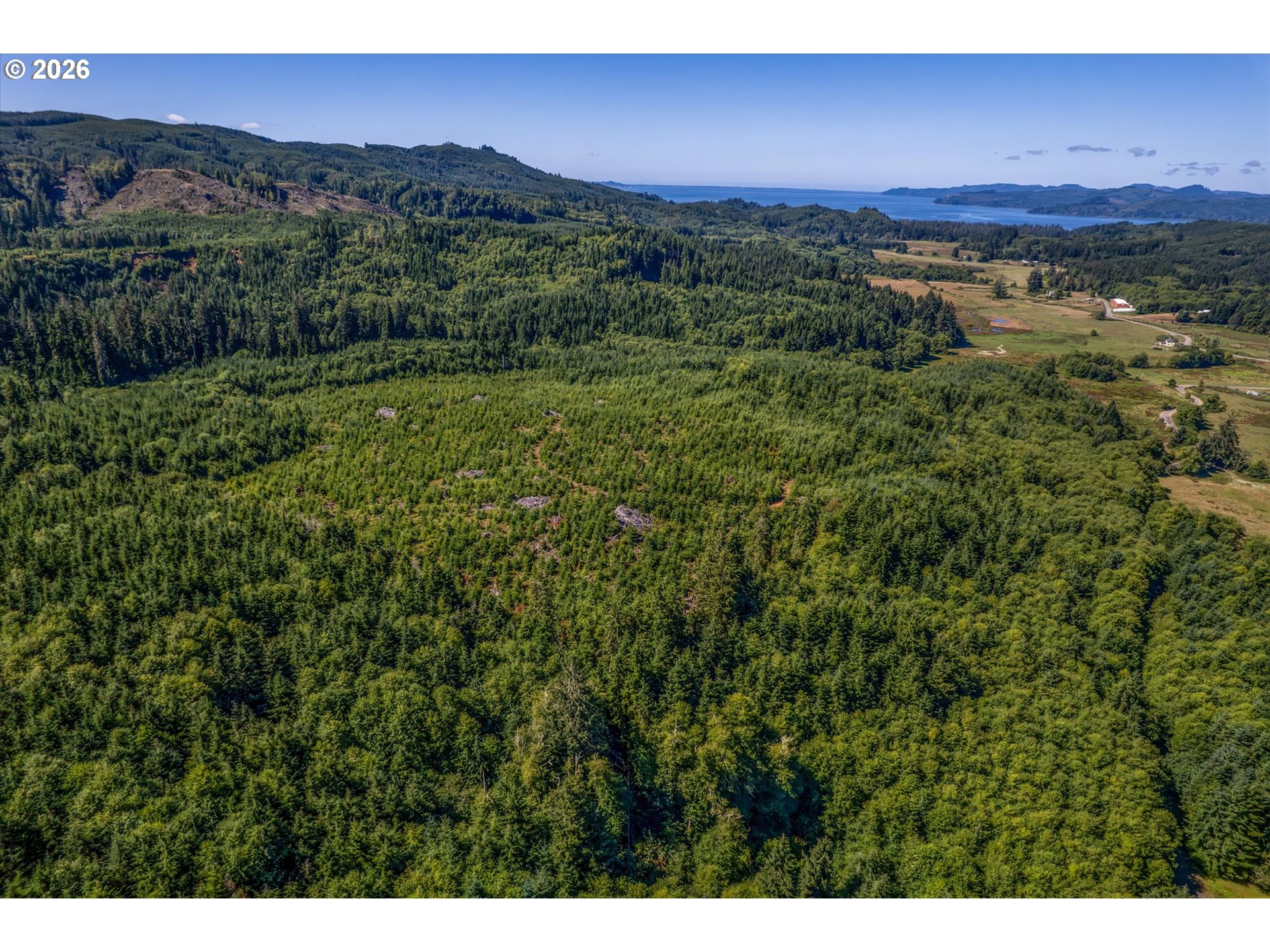 West Valley Road Rosburg, WA 98643 - Photo 12 of 14 a view of a lush green field