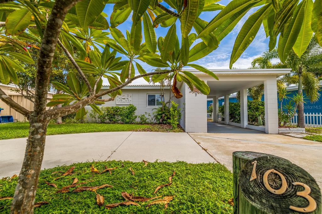 103 Wall Street Redington Shores, FL 33708 - Photo 1 of 1 front view of a house with a tree