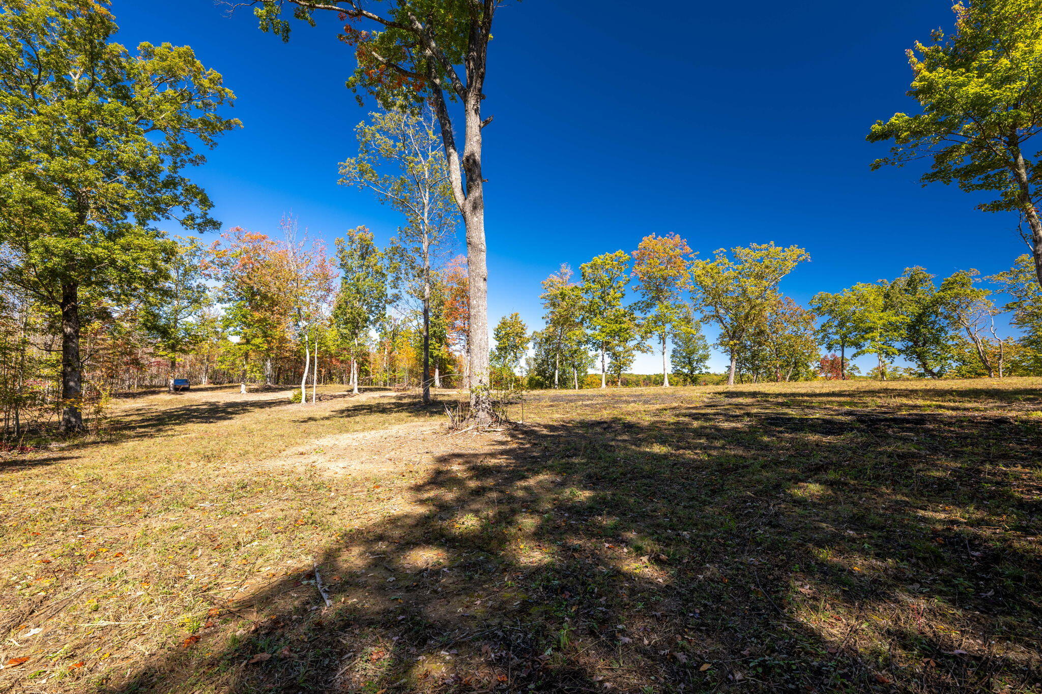 482 Coke Bowman Road Soddy-Daisy, TN 37379 - Photo 27 of 27 27-web-or-mls-DSC_5843-144