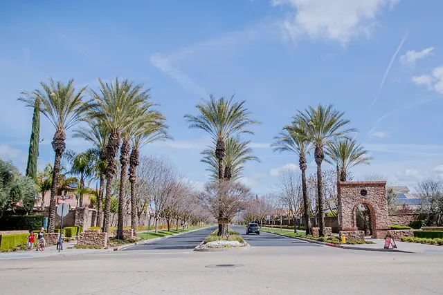 a view of a park with large trees