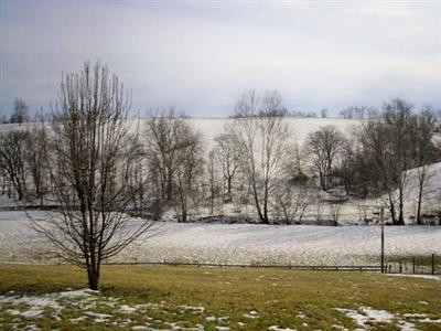 3285 Aarons Run Road Mount Sterling, KY 40353 - Photo 29 of 41 Photo 29