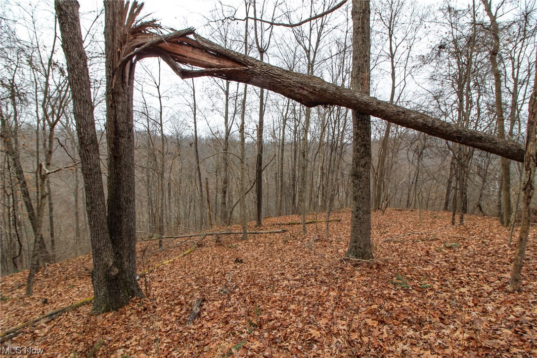 0 Mount Carmel Rdg Road St. Marys, WV 26170 - Photo 17 of 29 View of nature
