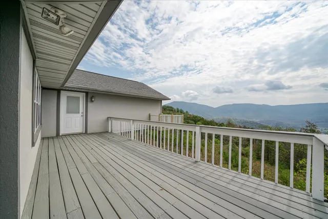 a view of a yard with plants