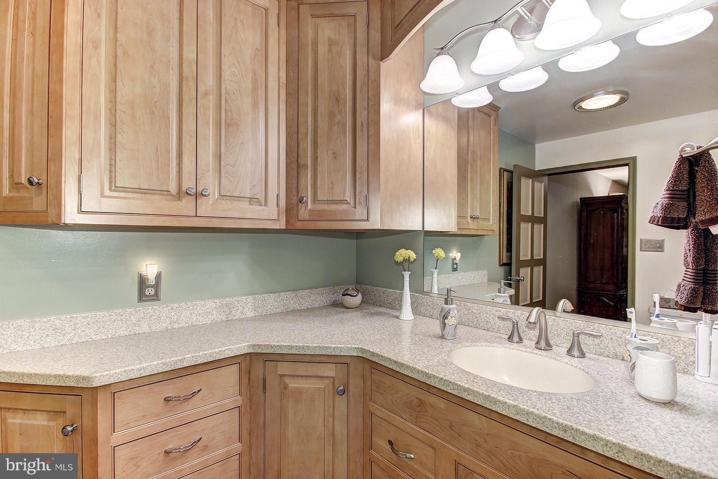 2924 Florence Road Woodbine, MD 21797 - Photo 13 of 30 Bath (Master)