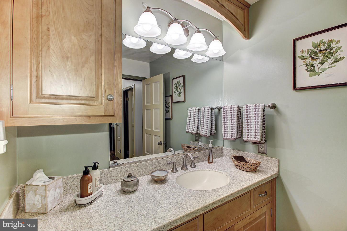 2924 Florence Road Woodbine, MD 21797 - Photo 15 of 30 Bath #2
