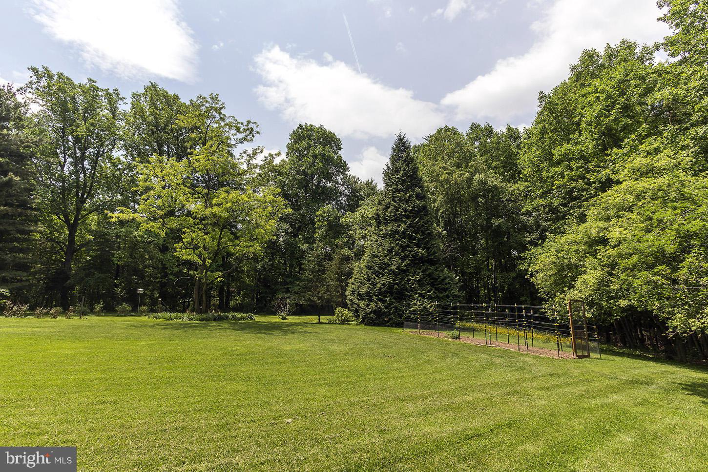 2924 Florence Road Woodbine, MD 21797 - Photo 28 of 30 Backyard