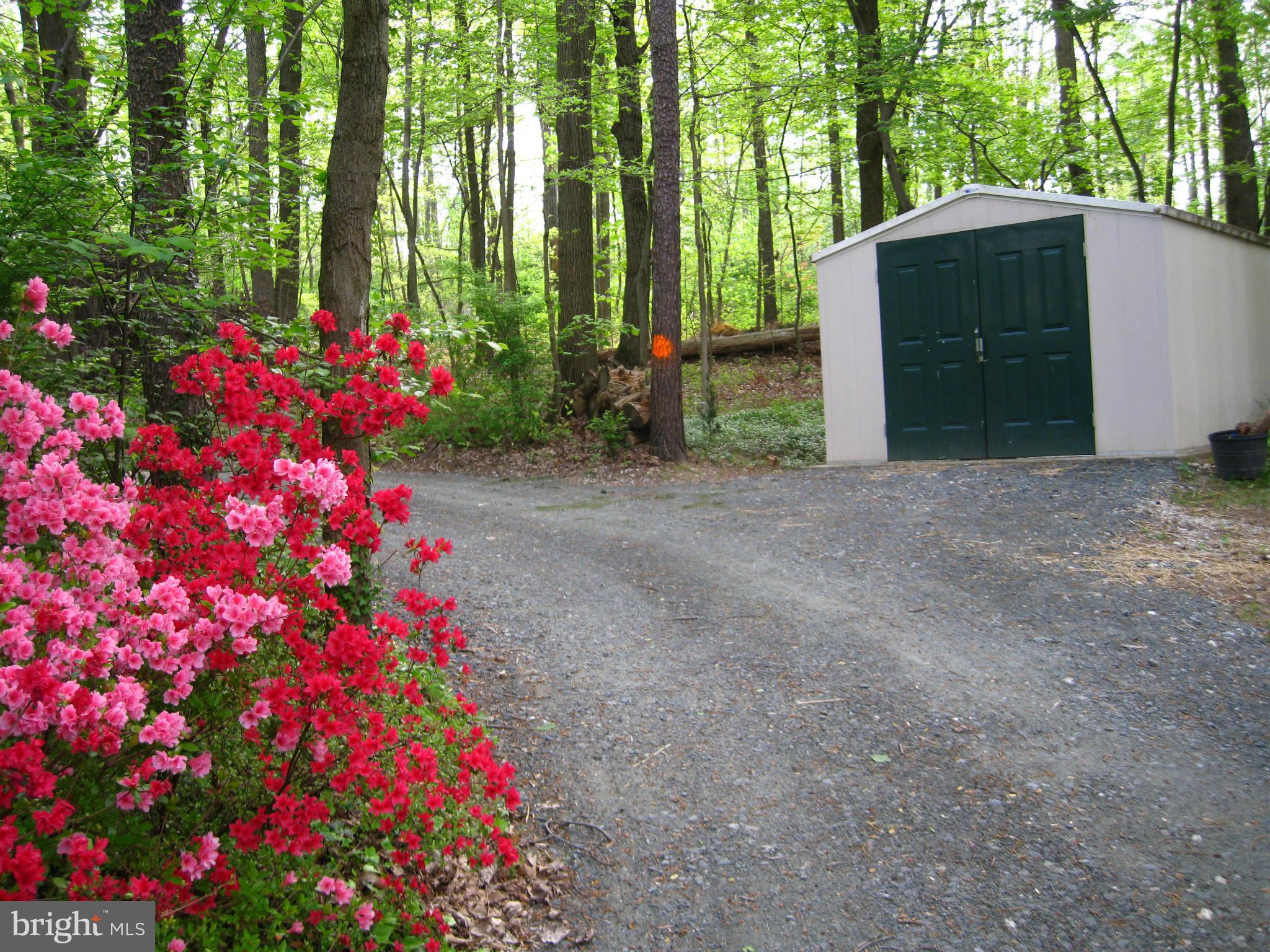 2924 Florence Road Woodbine, MD 21797 - Photo 30 of 30 Driveway