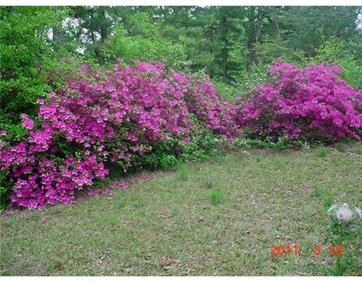 43109 South Range Road Hammond, LA 70403 - Photo 15 of 15 Gallery Image 15