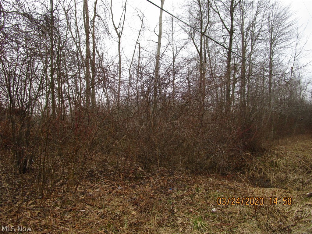1 Depot Road Ashtabula, OH 44004 - Photo 1 of 4