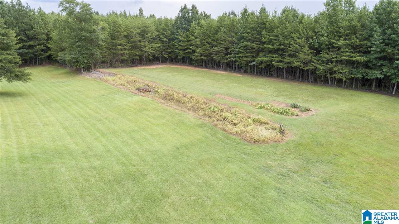 14183 Milldale Road Brookwood, AL 35444 - Photo 46 of 47