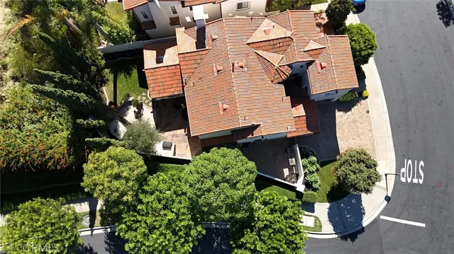 an aerial view of a house with a yard and potted plants