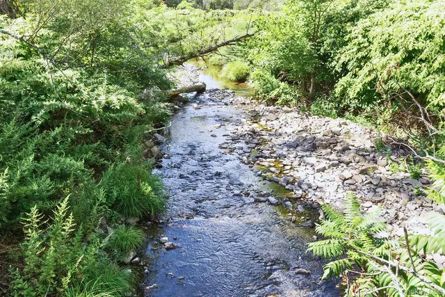 a view of a garden from a patio