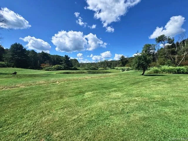 a view of a yard with plants and tree