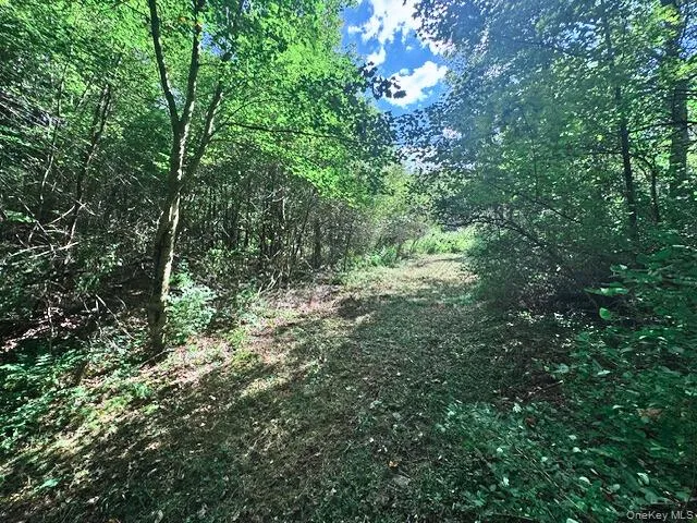 a view of green field with trees in the background