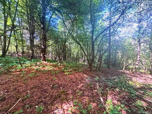 a view of outdoor space and trees