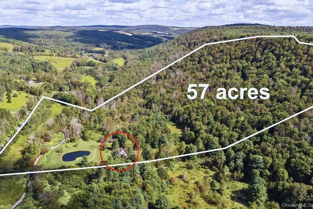 an aerial view of a house with a yard and large trees
